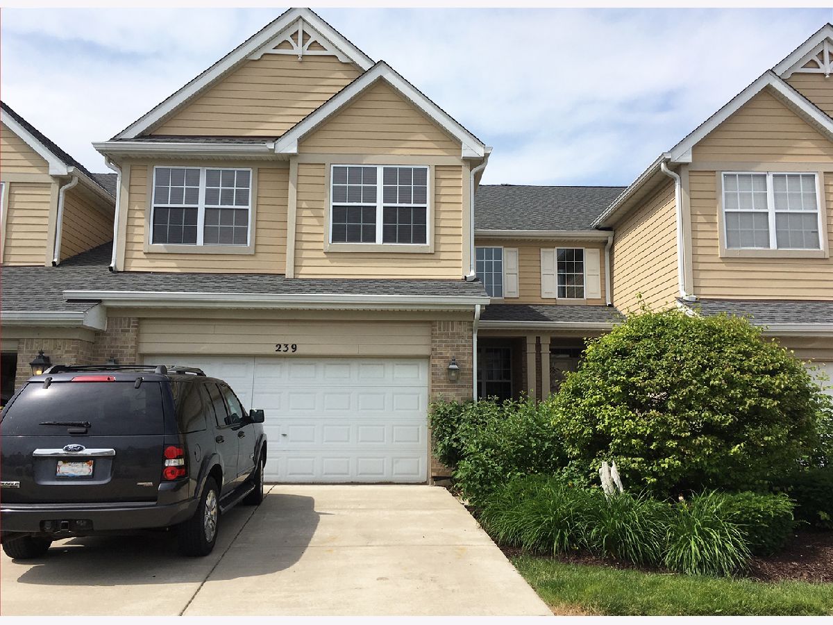 Townhomes Rented Villas Of Thornfield Bloomingdale Illinois, 239 Westminster
