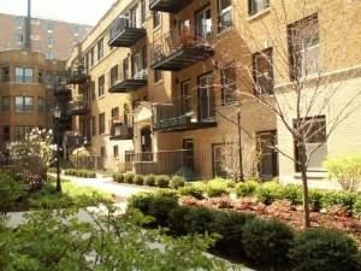 Condominiums Rented Greenleaf Chicago Illinois, 1223 Greenleaf