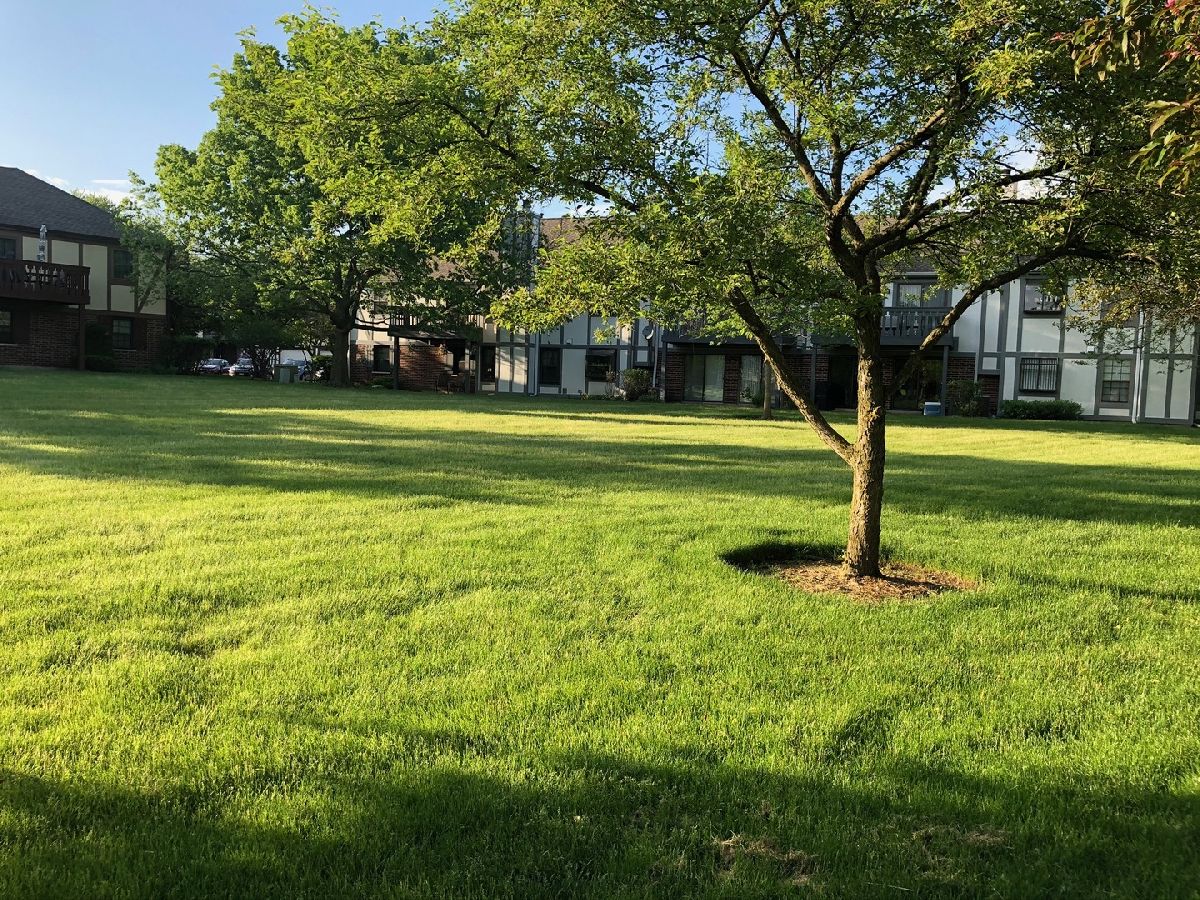 605 Elizabeth Drive, Wood Dale, Illinois 60191 MLS 10510524 WinterCohen