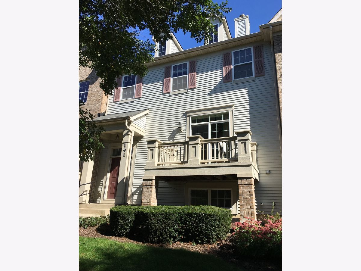 Townhomes & Condos Rented Fountains At Town Center Carol Stream Illinois, 191 Goldenhill