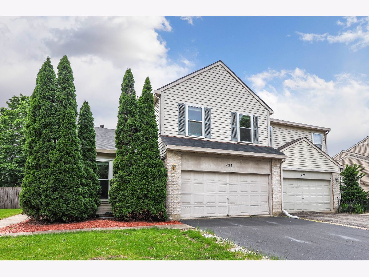 Townhomes & Condos Sold Picardy Bolingbrook Illinois, 231 Paddington