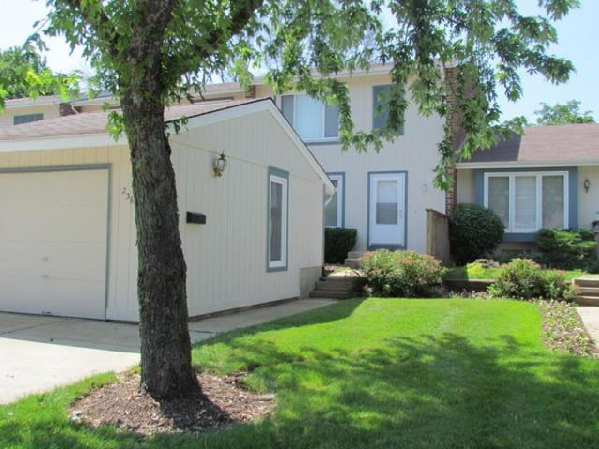 Townhomes & Condos & Homes Rented Westlake Bloomingdale Illinois, 236 Oakwood