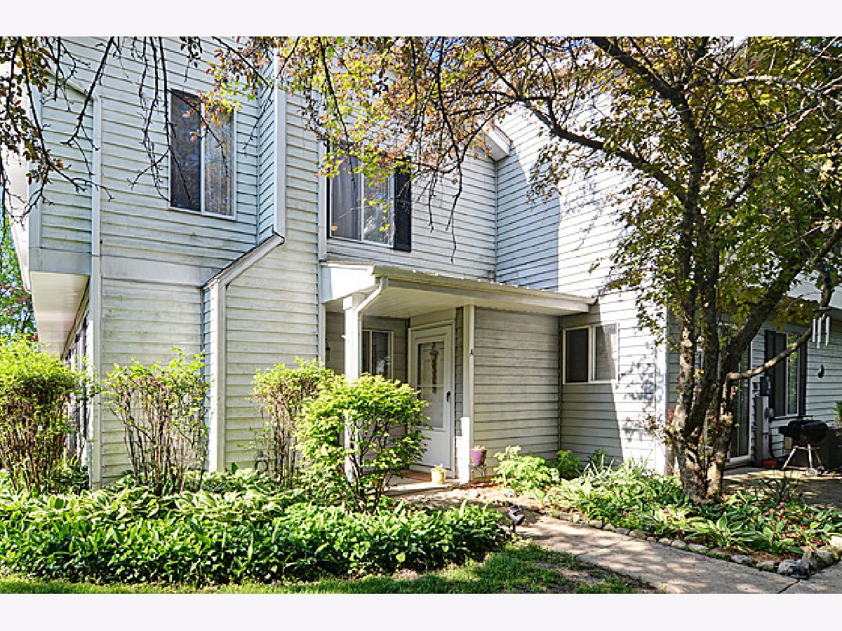 Townhomes & Condos Sold New England Village Woodridge Illinois, 2462 Brunswick