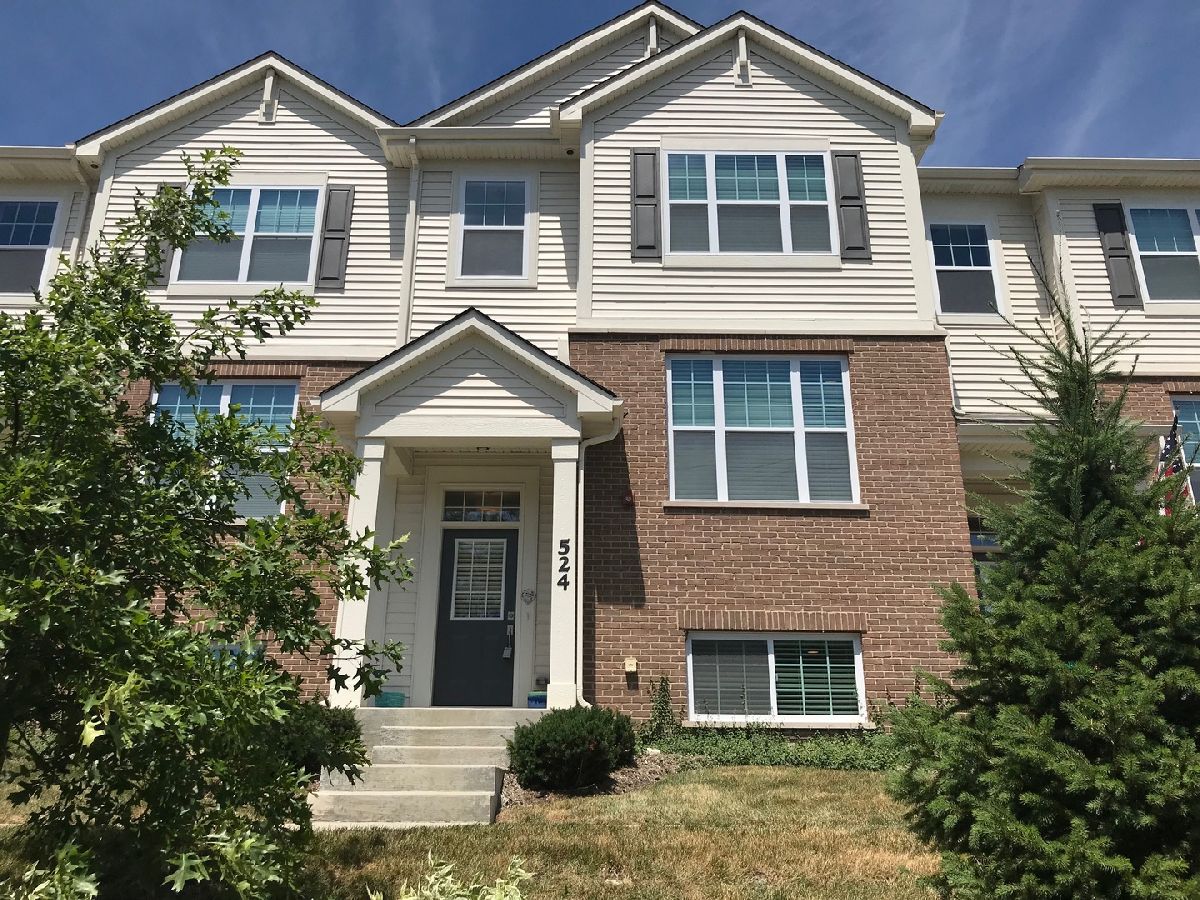 Condos & Townhomes Rented Lexington Crossing Rolling Meadows Illinois, 524 Lexington