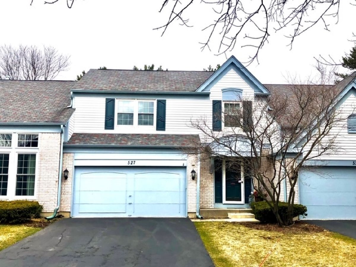 Townhomes & Homes Rented Orleans Naperville Illinois, 527 Orleans