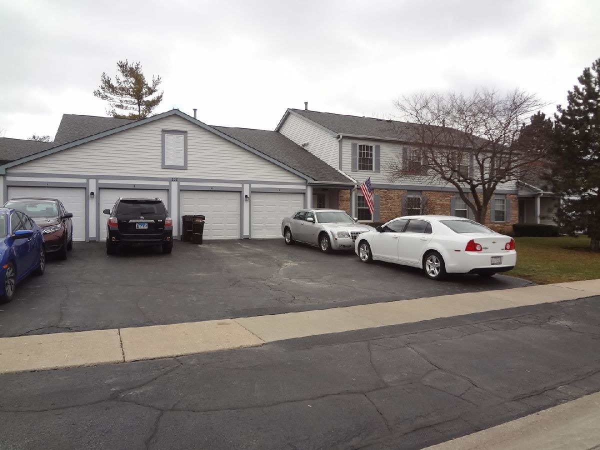 Condos & Townhomes Rented Crestview Estates Wauconda Illinois, 220 Brett