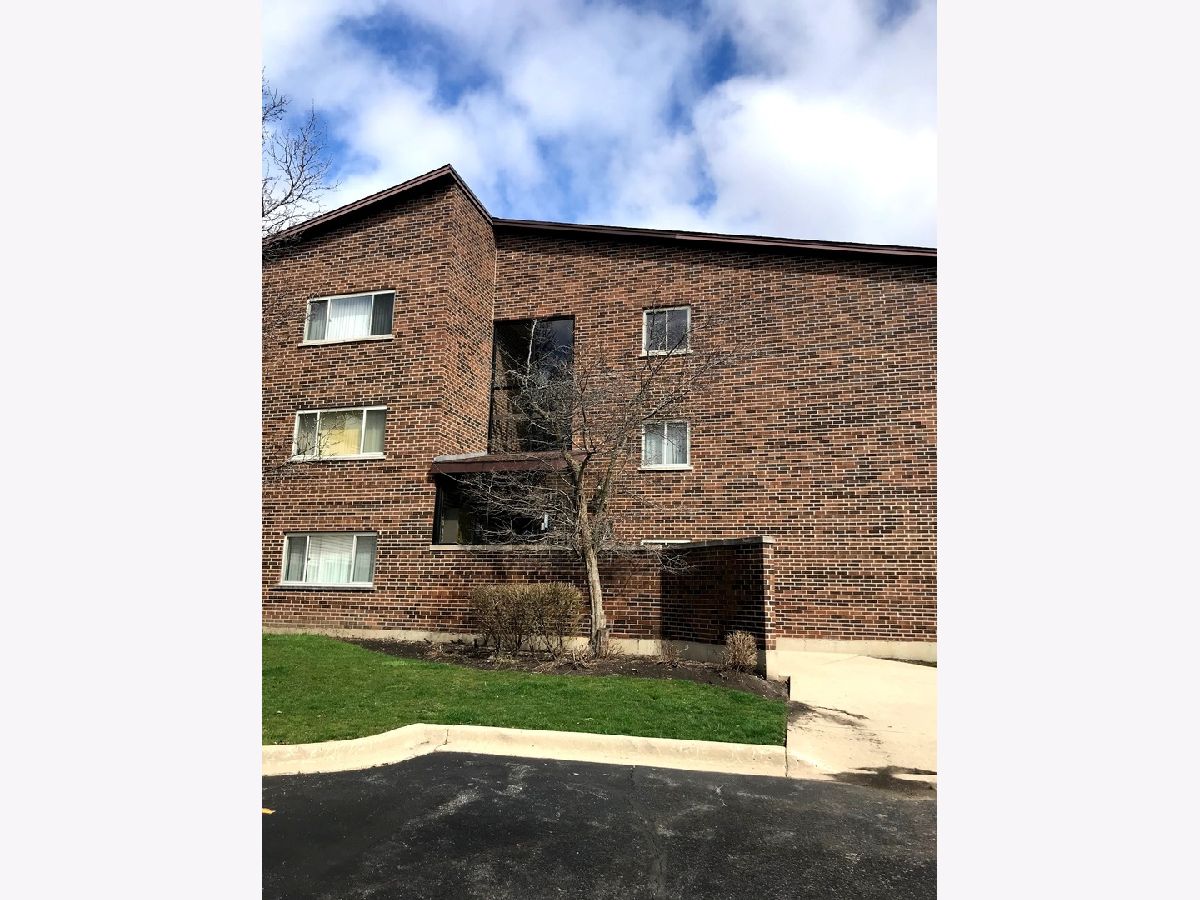Condominiums Rented Twelve Oaks Elk Grove Village Illinois, 650 Perrie