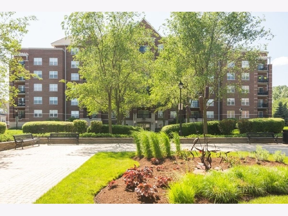 The Groves Of Palatine Palatine IL, Condos & Townhomes For Sale & For Rent Sadie Winter Dana Cohen