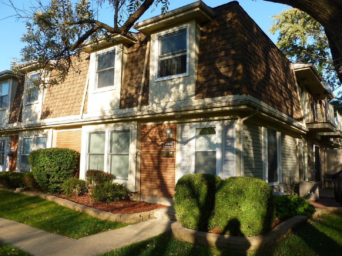 Townhomes Rented Castle Rock Schaumburg Illinois, 2300 Denton