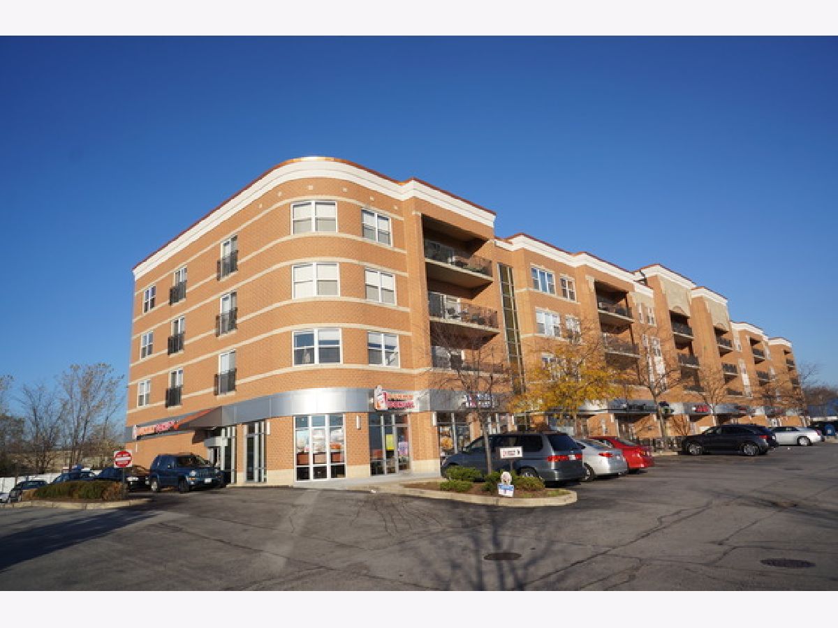Condominiums Sold Tinley Pointe Centre Tinley Park Illinois, 7050 183rd