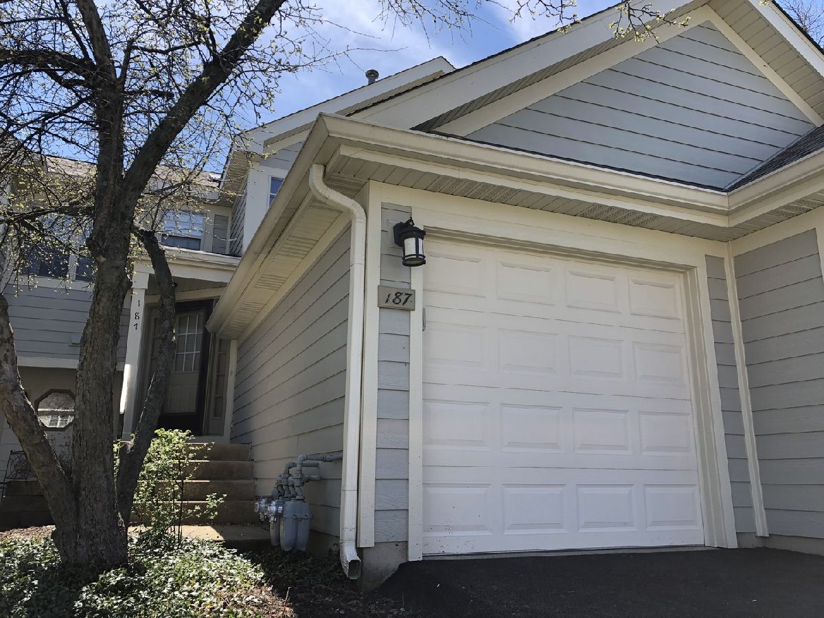 Townhomes & Condos Rented Hamilton Creek Palatine Illinois, 187 Hamilton