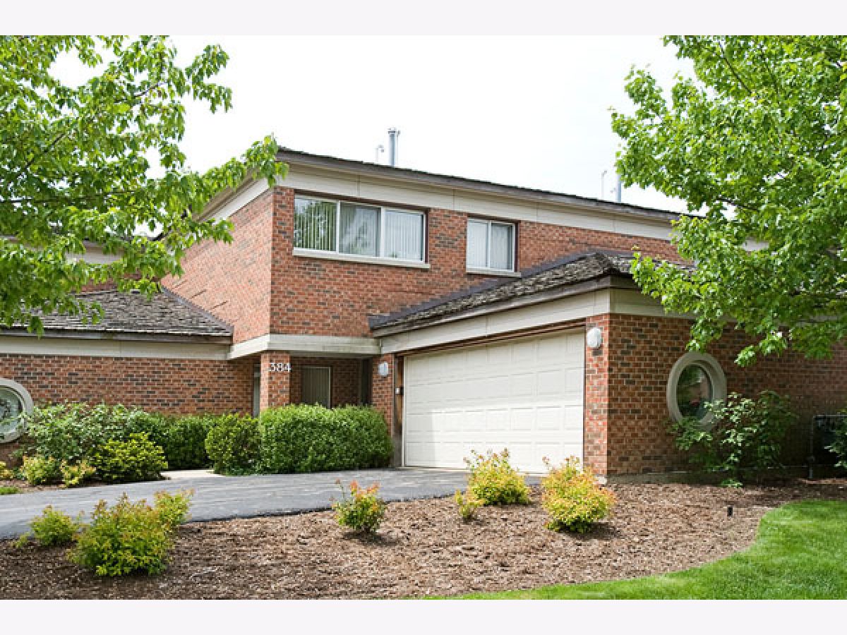 Condos & Townhomes & Homes Rented Coromandel Deerfield Illinois, 384 Milford