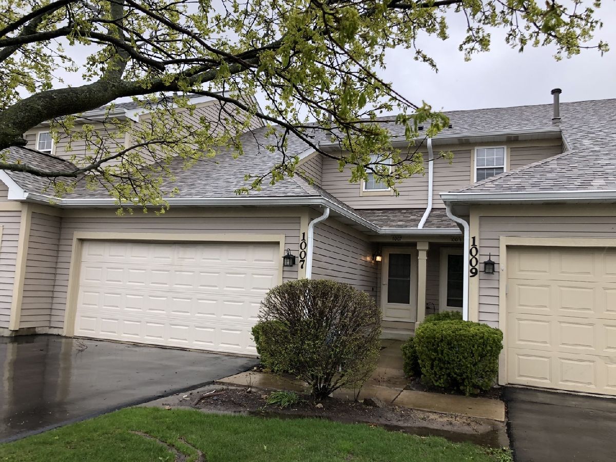 Townhomes & Condos Rented Remington Farms Lake In The Hills Illinois, 1007 Horizon Ridge