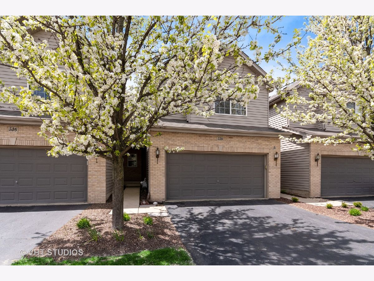 Condos & Townhomes & Homes Sold Madison Homes Elgin Illinois, 538 Madison