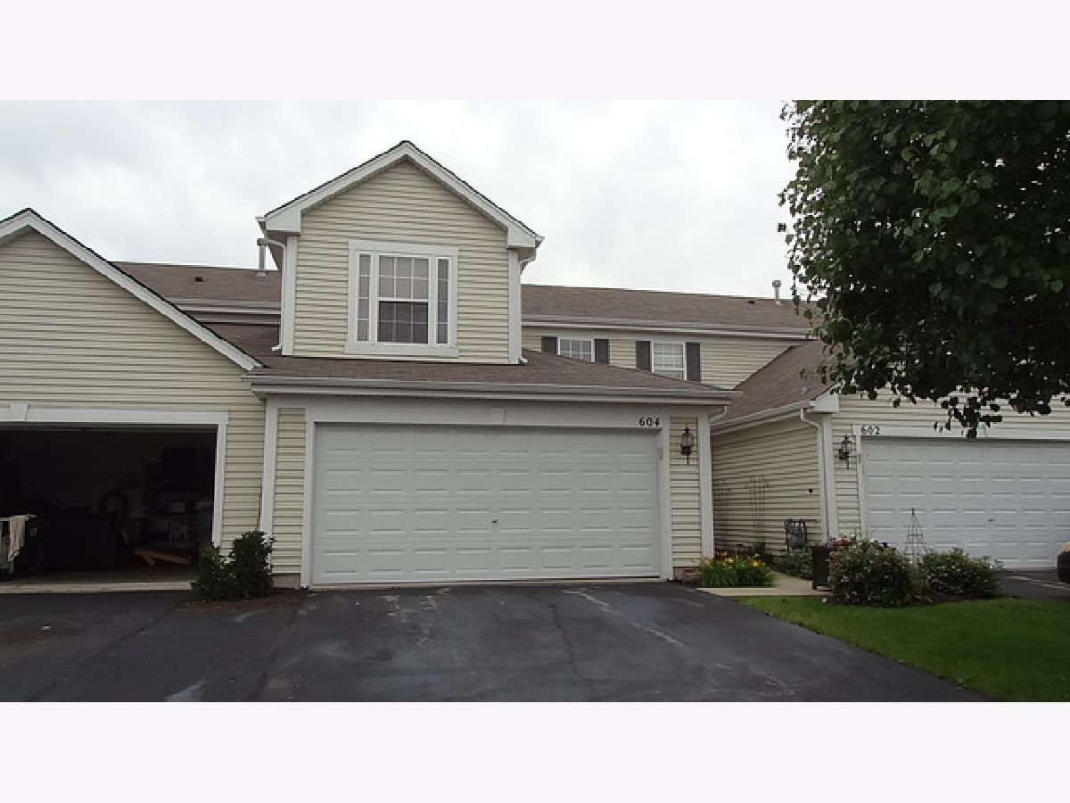 Townhomes & Homes Rented Chestnut Ridge Minooka Illinois, 604 Chestnut Ridge