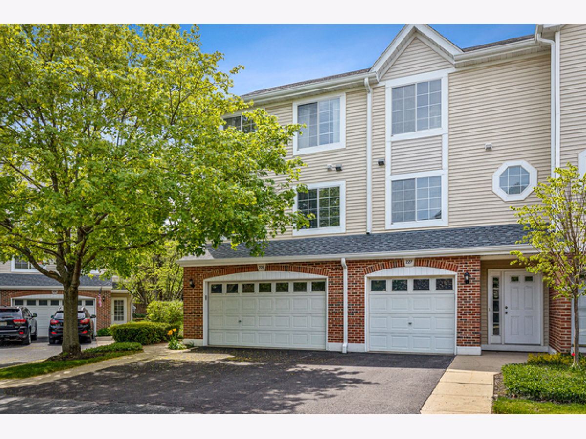 Townhomes Sold Maple Grove Palatine Illinois, 229 Parallel