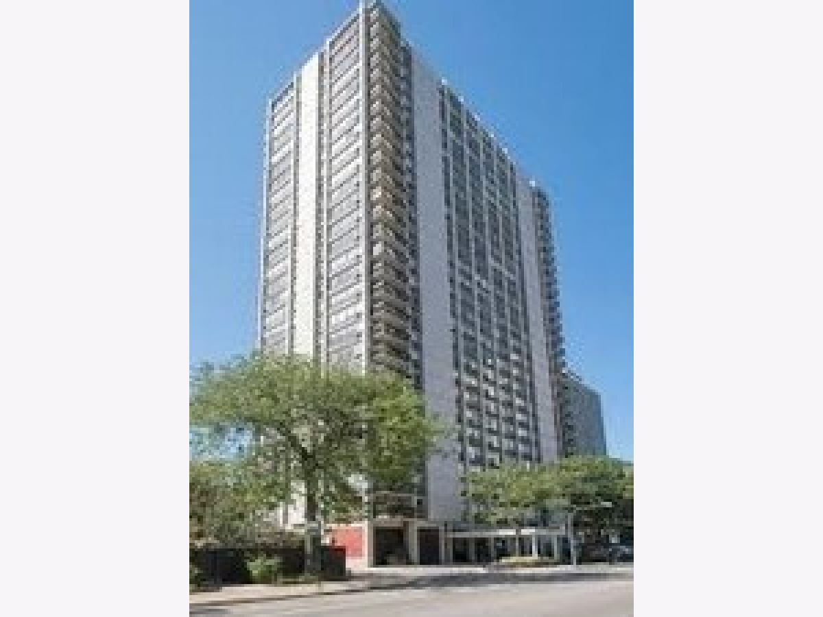 Condos & Townhomes Rented Dickenson House Chicago Illinois, 1360 Sandburg