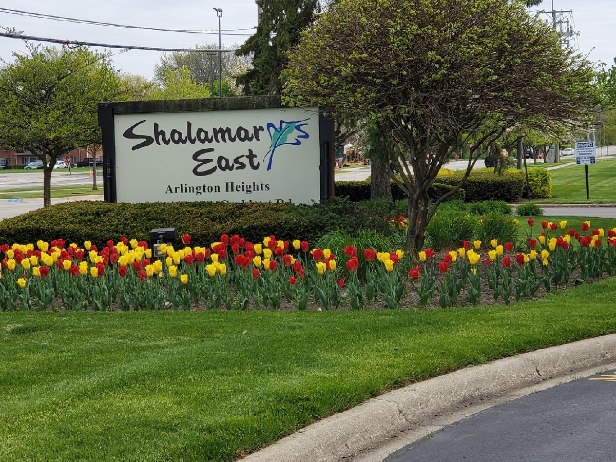 Condominiums Rented Shalamar Arlington Heights Illinois, 2210 Goebbert