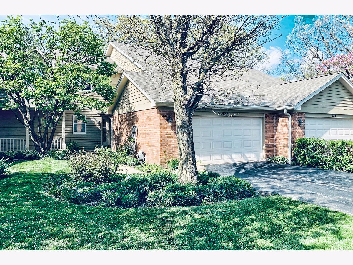 Townhomes Sold Hickory Ridge Elgin Illinois, 525 Shagbark