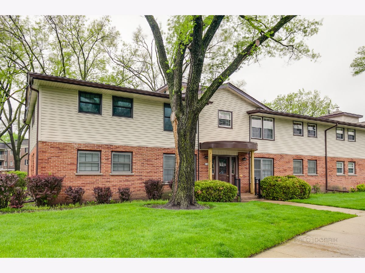 Condominiums Rented Washington Square Elk Grove Village Illinois, 214 Washington