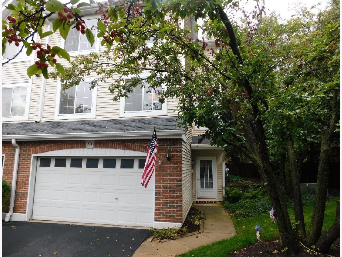 Townhomes Sold Maple Grove Palatine Illinois, 231 Parallel