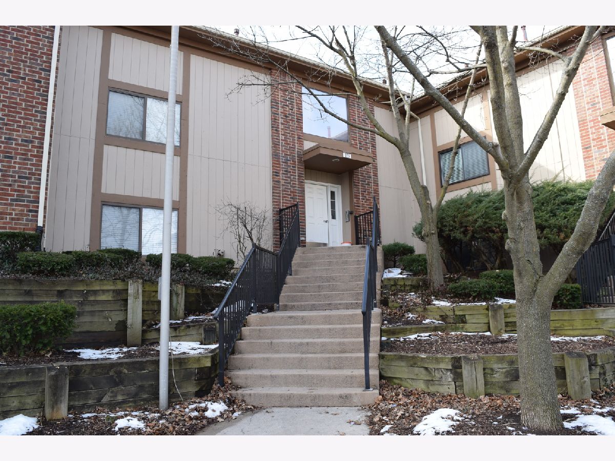 Condos & Townhomes Rented Lofty Condos Bartlett Illinois, 375 Wilmington