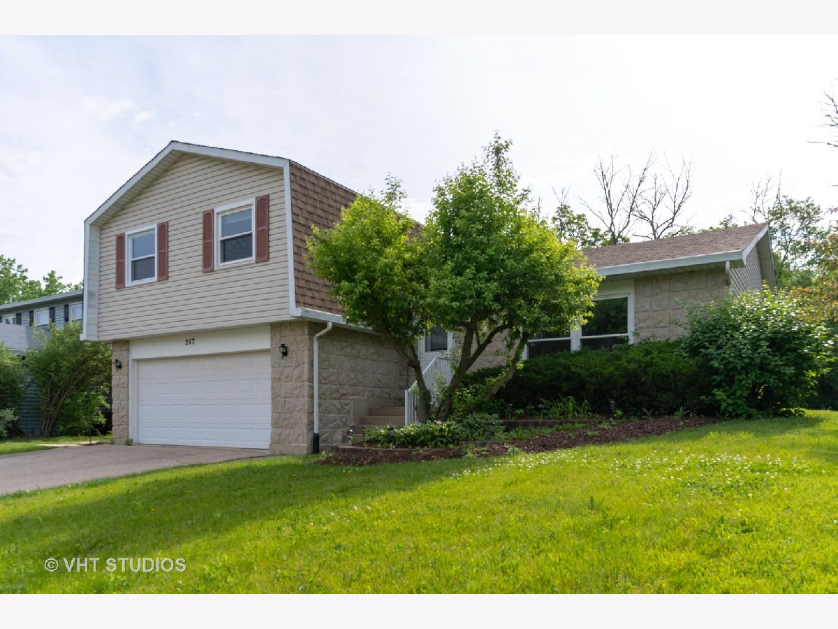 Homes Sold Park Place West Bartlett Illinois, 217 Park Place