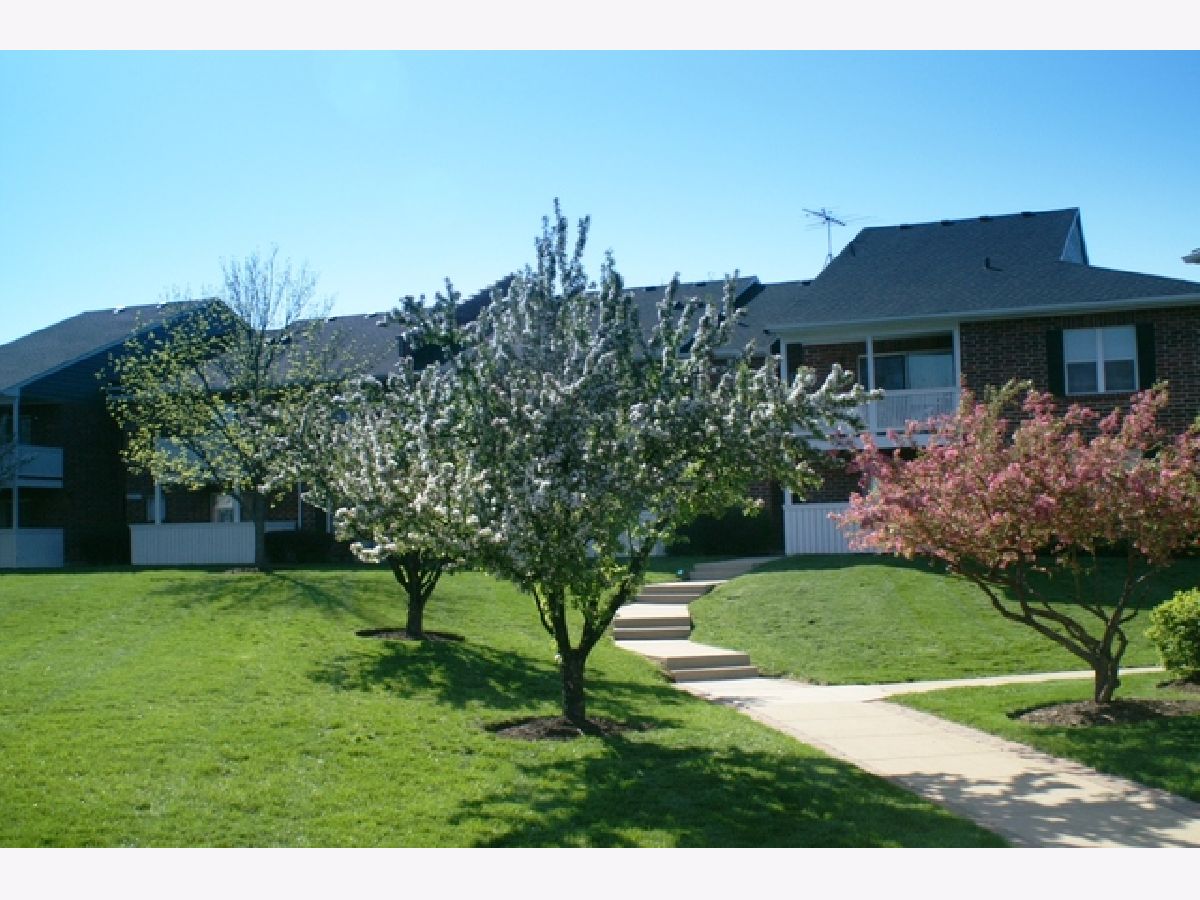 Condominiums Rented Ashton Arlington Heights Illinois, 2362 Goebbert