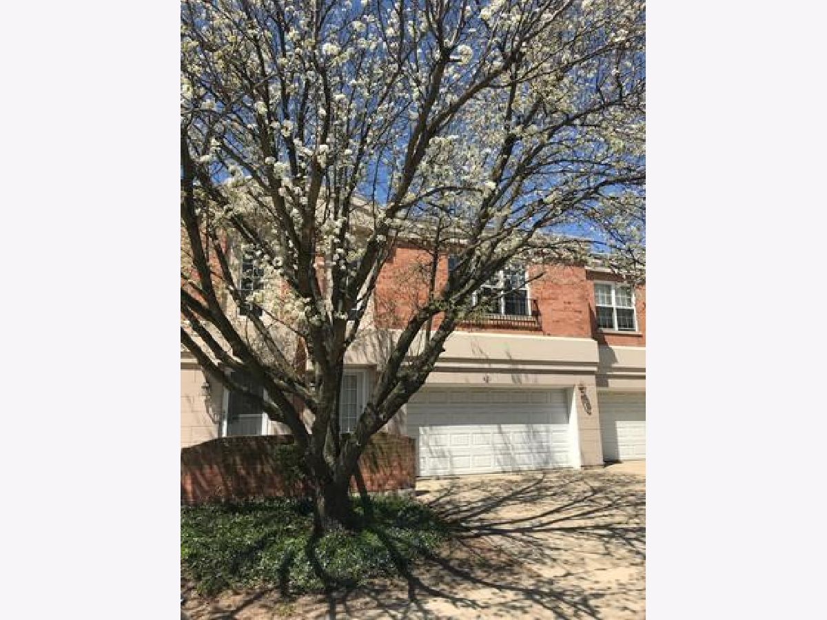 Townhomes & Condos Rented Town Place Buffalo Grove Illinois, 421 Town Place
