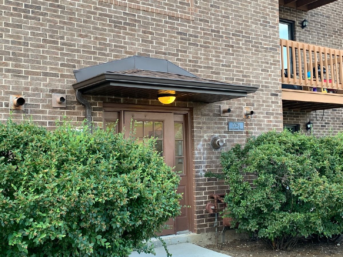 Condominiums Rented Abbeywood Lisle Illinois, 2254 Abbeywood
