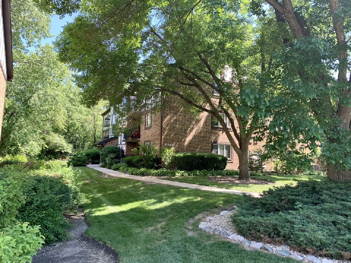 Condominiums Sold Indian Ridge Lakes Indian Head Park Illinois, 6810 Joliet