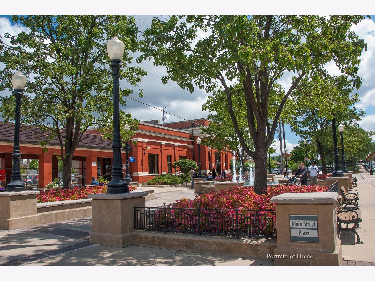 6931 Ticonderoga Road, Downers Grove, Illinois 60516 MLS 10751201