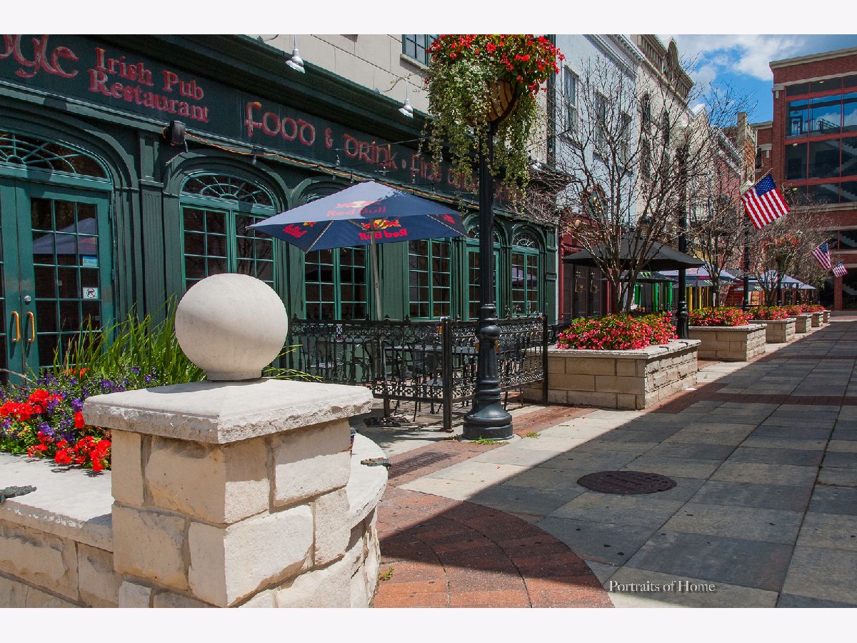 6931 Ticonderoga Road, Downers Grove, Illinois 60516 MLS 10751201