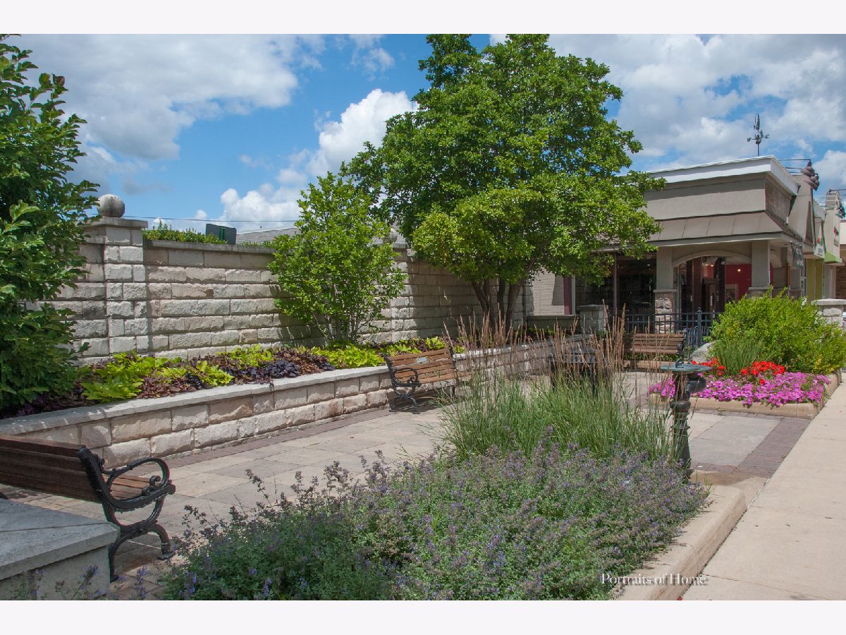 6931 Ticonderoga Road, Downers Grove, Illinois 60516 MLS 10751201