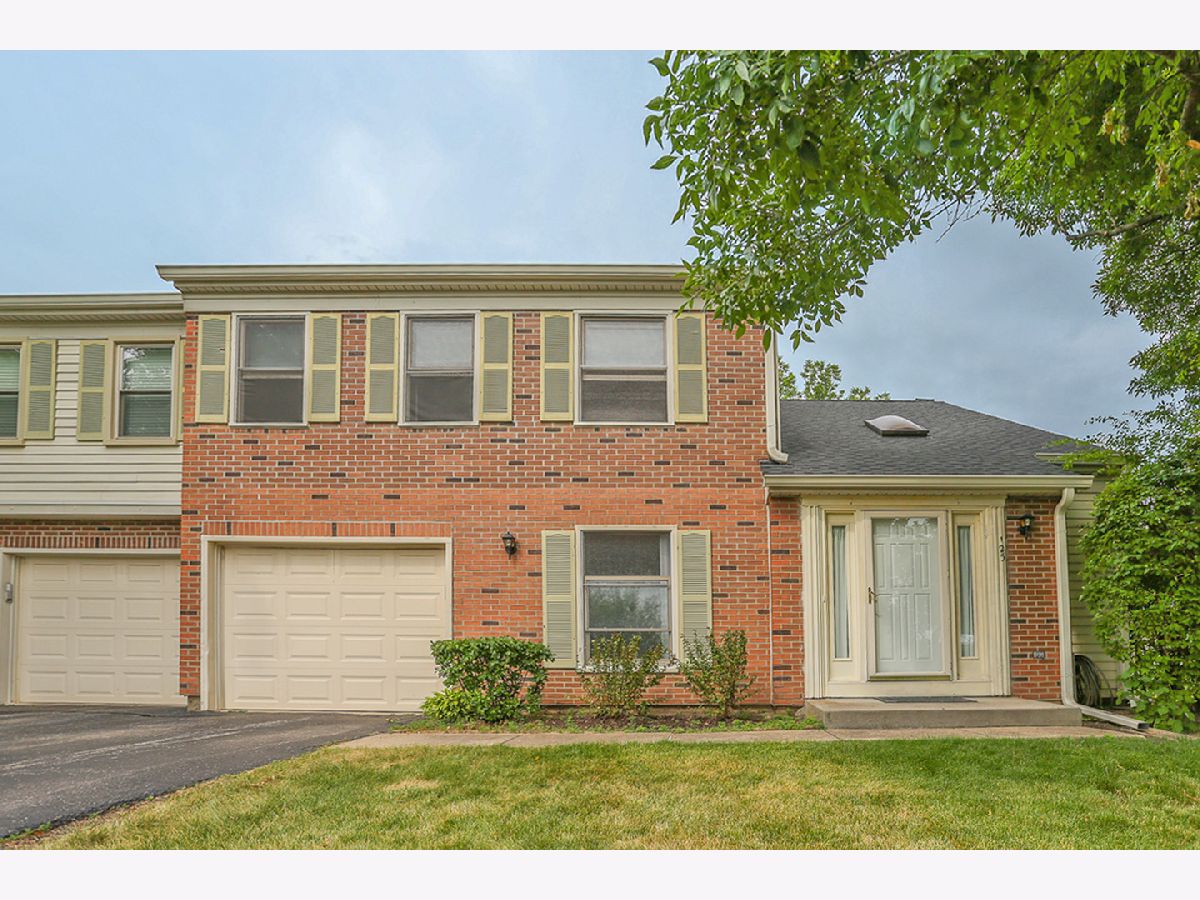 Townhomes Rented Bright Ridge Schaumburg Illinois, 125 Bright Ridge