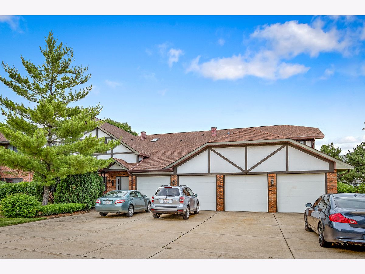 Condos & Townhomes Sold Hamilton Manor Itasca Illinois, 213 Walters