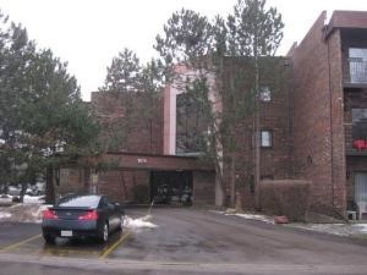 Condominiums Rented Castilian Court Glenview Illinois, 1018 Castilian