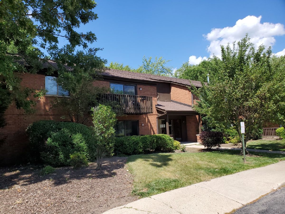  Rented Wildwood Illinois, 33561 Royal Oak