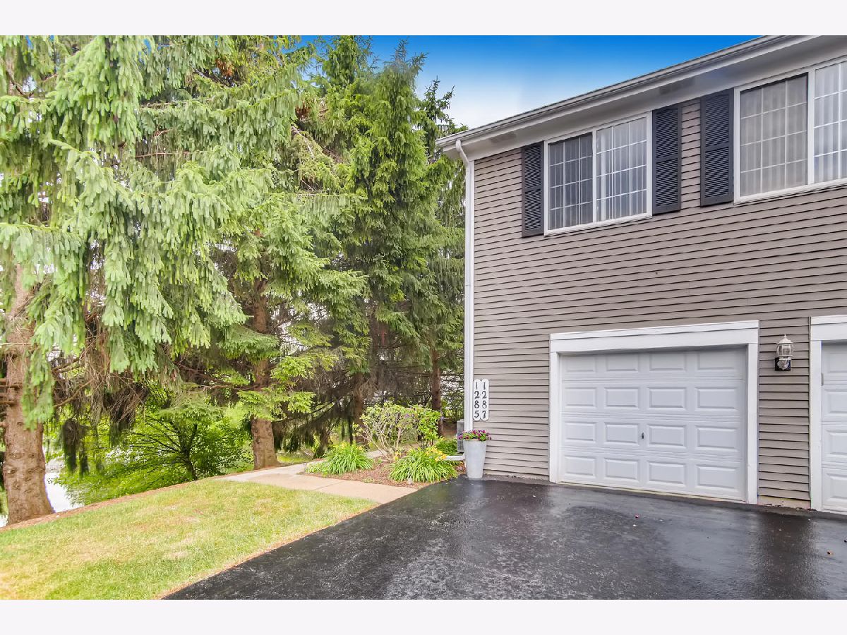 1287 Sandhurst Lane, South Elgin, Illinois 60177 MLS 10763017