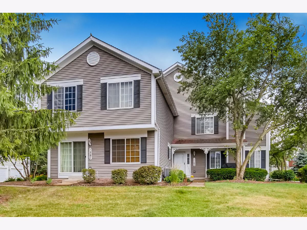 1287 Sandhurst Lane, South Elgin, Illinois 60177 MLS 10763017