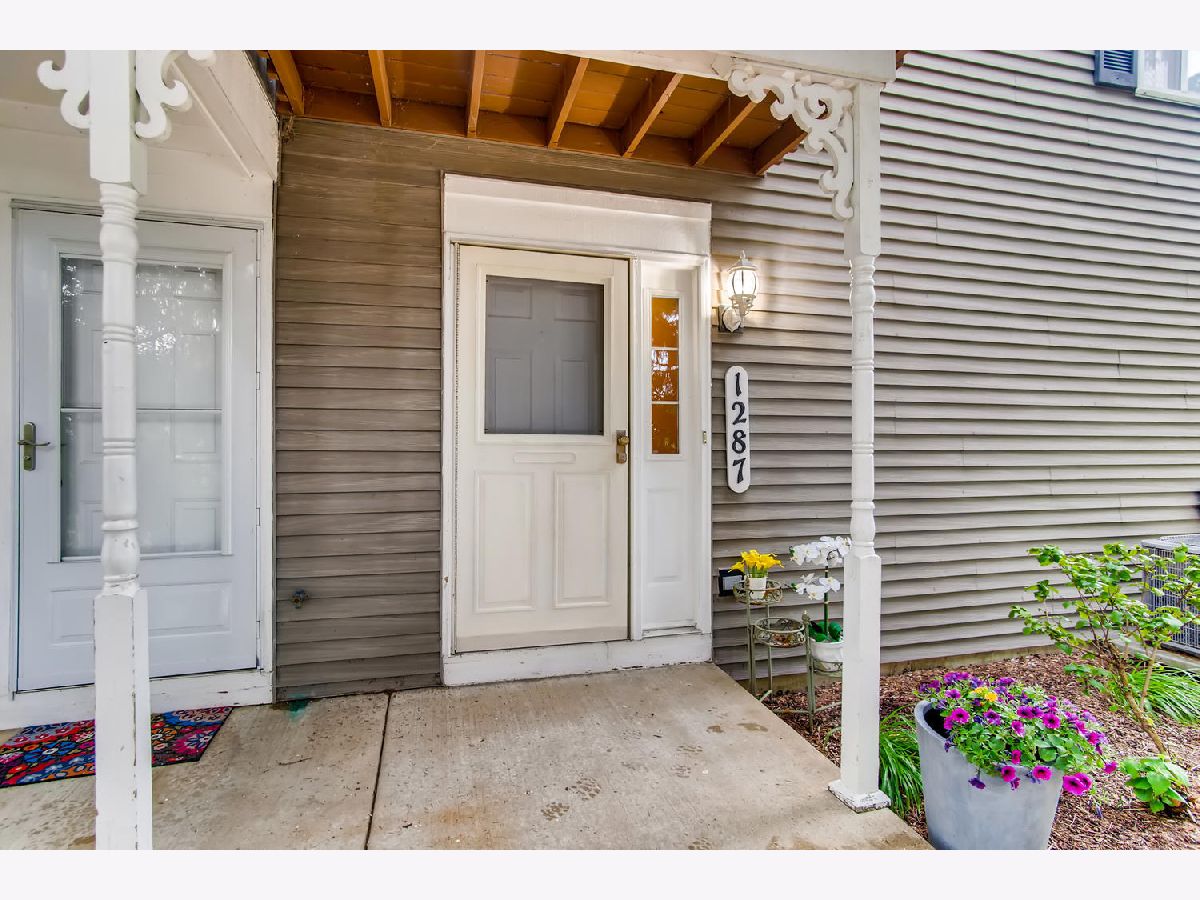 1287 Sandhurst Lane, South Elgin, Illinois 60177 MLS 10763017