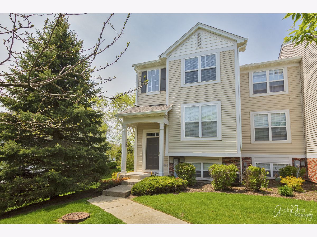 Townhomes Rented Terra Springs Volo Illinois, 212 Terra Firma
