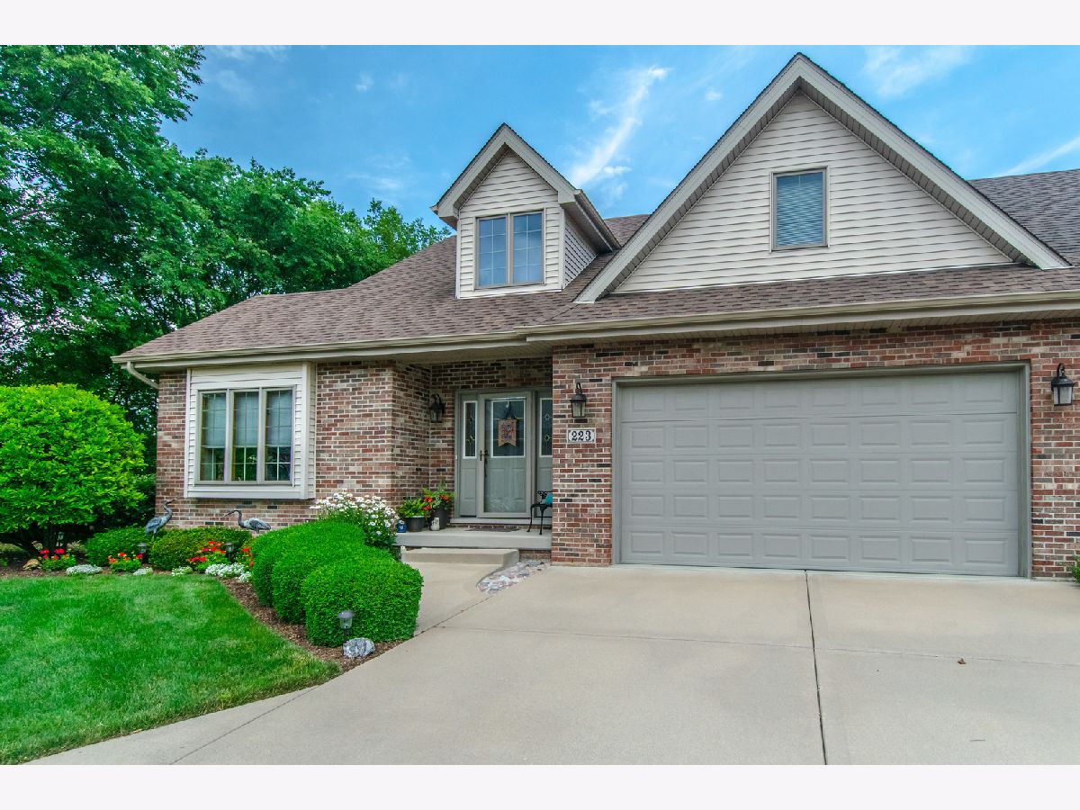 Homes & Townhomes Sold Rivers Edge Minooka Illinois, 223 Sibley