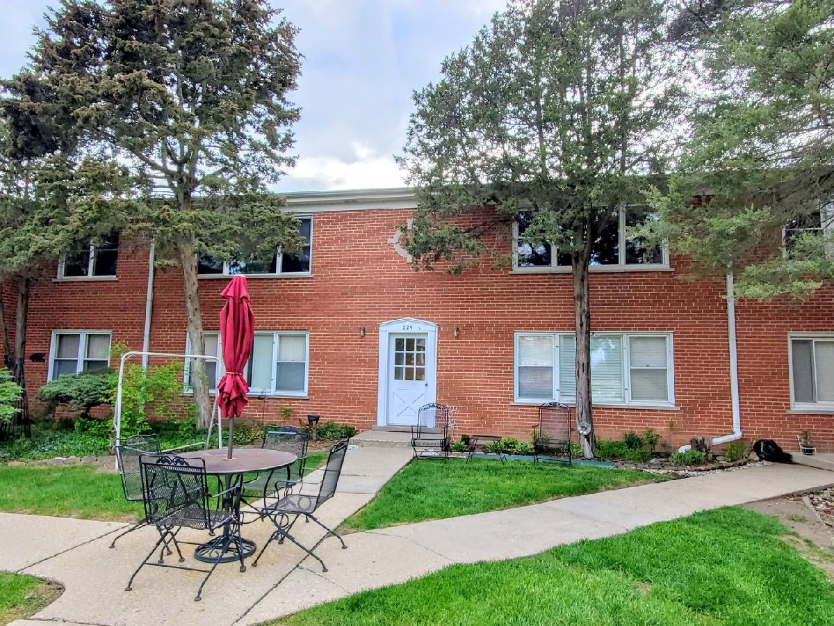 Condominiums Rented Williamsburg Palatine Illinois, 229 Johnson