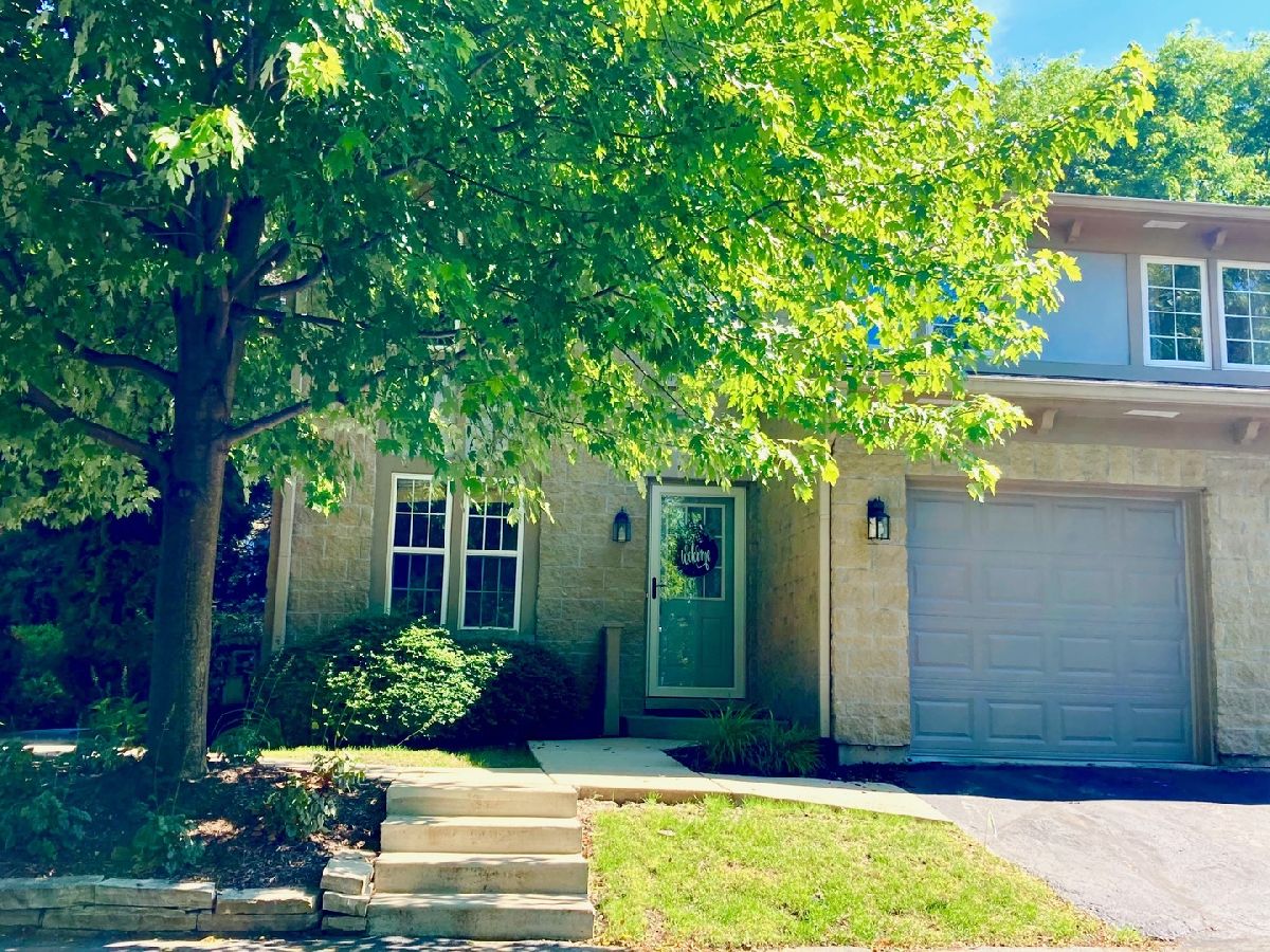 Townhomes & Condos Sold Bellevue Batavia Illinois, 343 Jefferson
