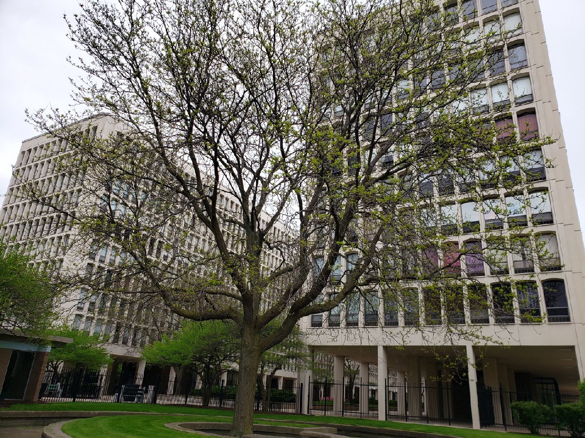 Condominiums Rented University Park Condos Chicago Illinois, 1400 55th