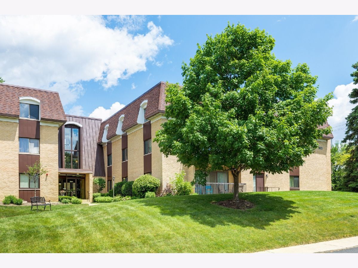 Mill Orchard Naperville IL, Condominiums For Sale & For Rent Sadie