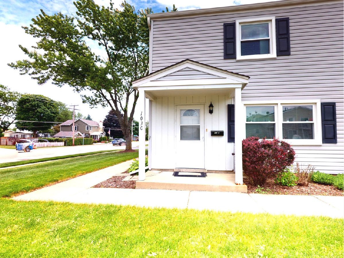 Townhomes & Condos & Homes Rented Bartlett Green Bartlett Illinois, 103 Daniel