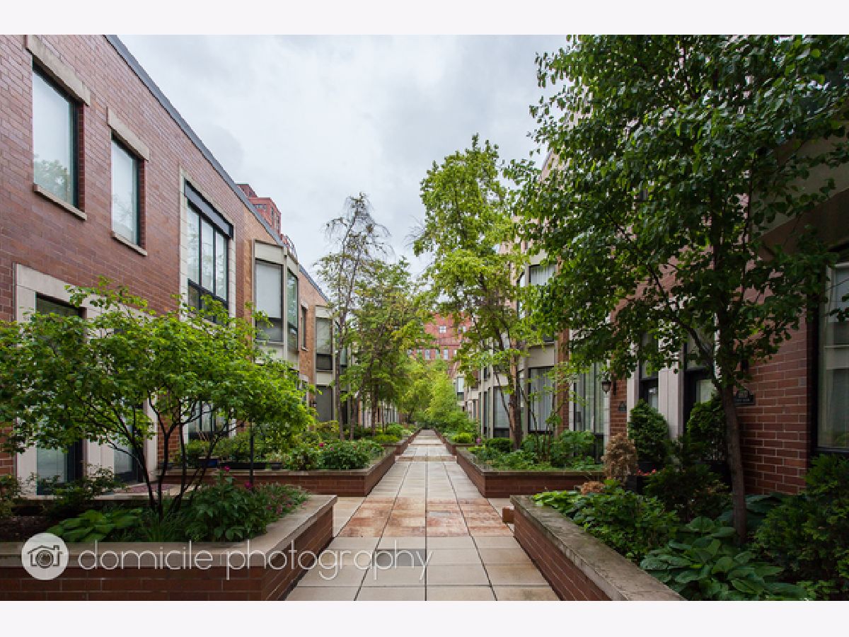 Townhomes Rented Fulton Court Chicago Illinois, 309 Union