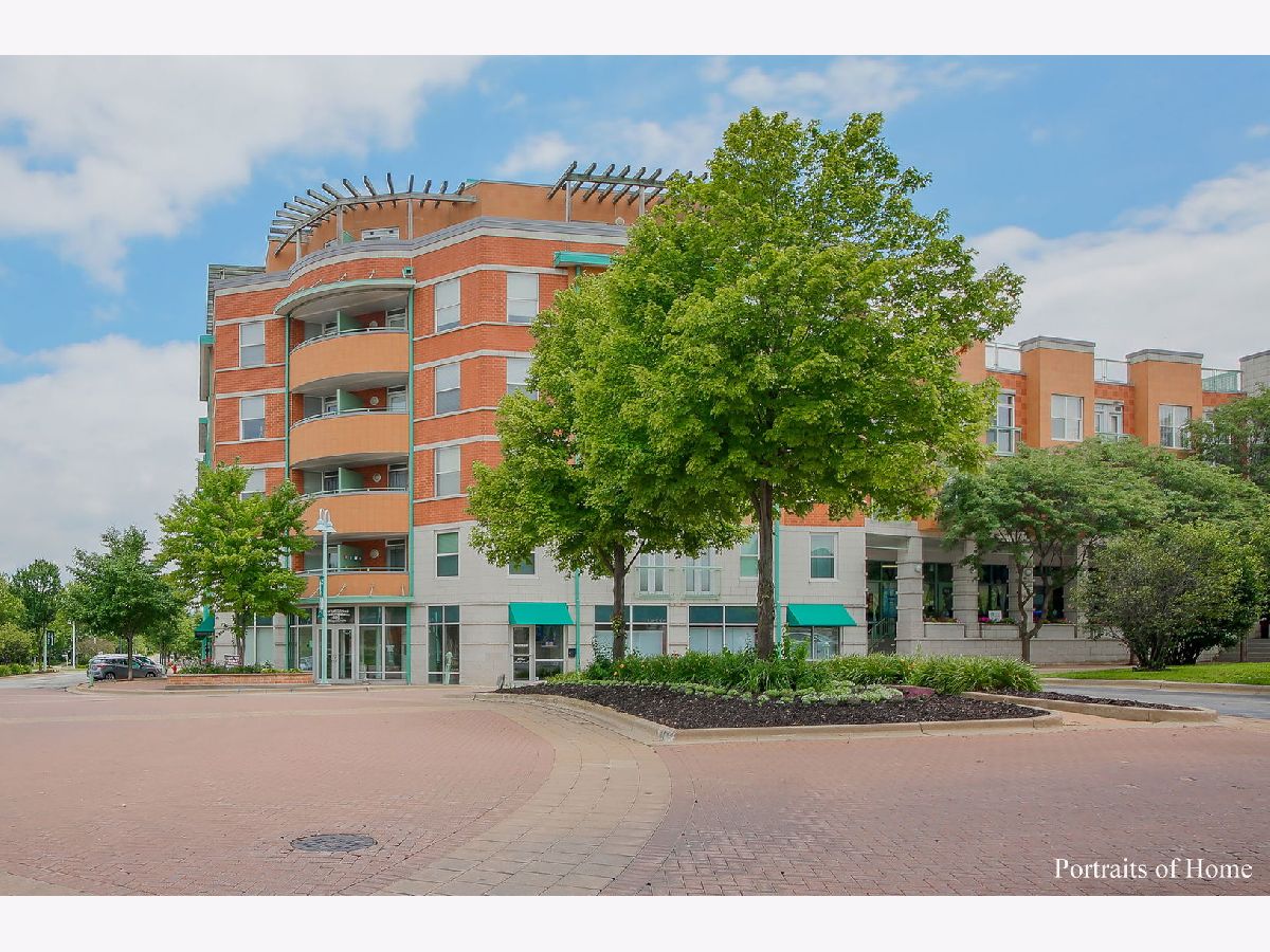 Condominiums Sold Market Street Willow Springs Illinois, 400 Village